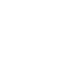 TheRowdyBoyz-logo-white-on-black